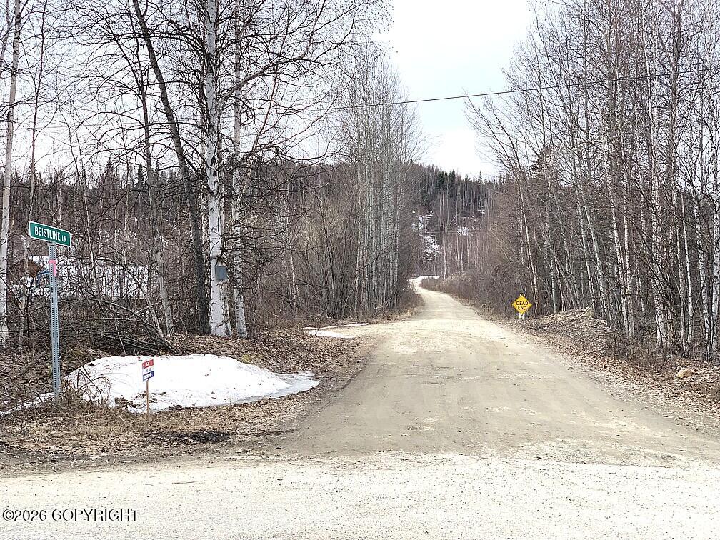 1731 N Old Steese Highway Property Photo 23
