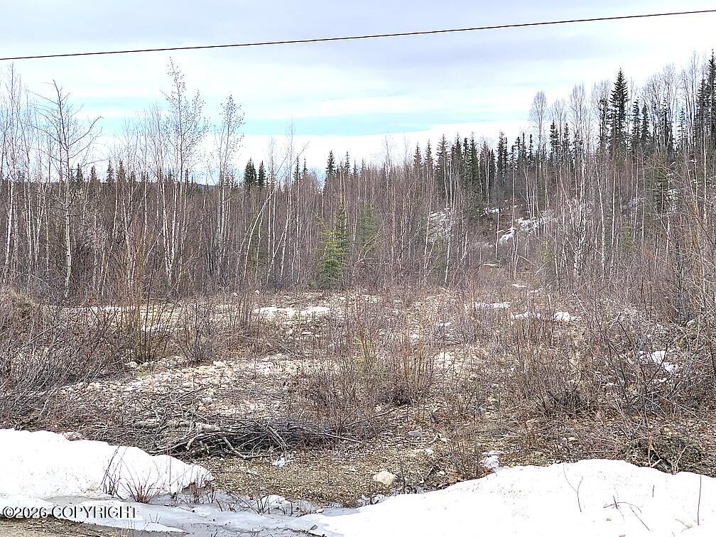 1731 N Old Steese Highway Property Photo 27