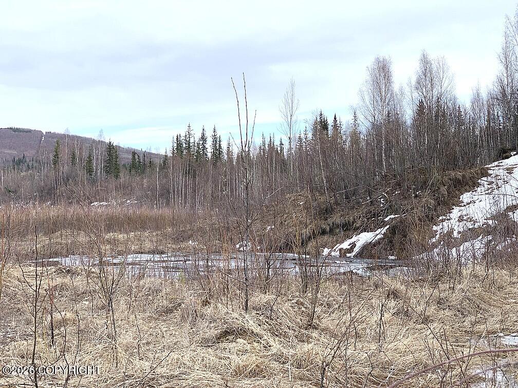 1731 N Old Steese Highway Property Photo 28