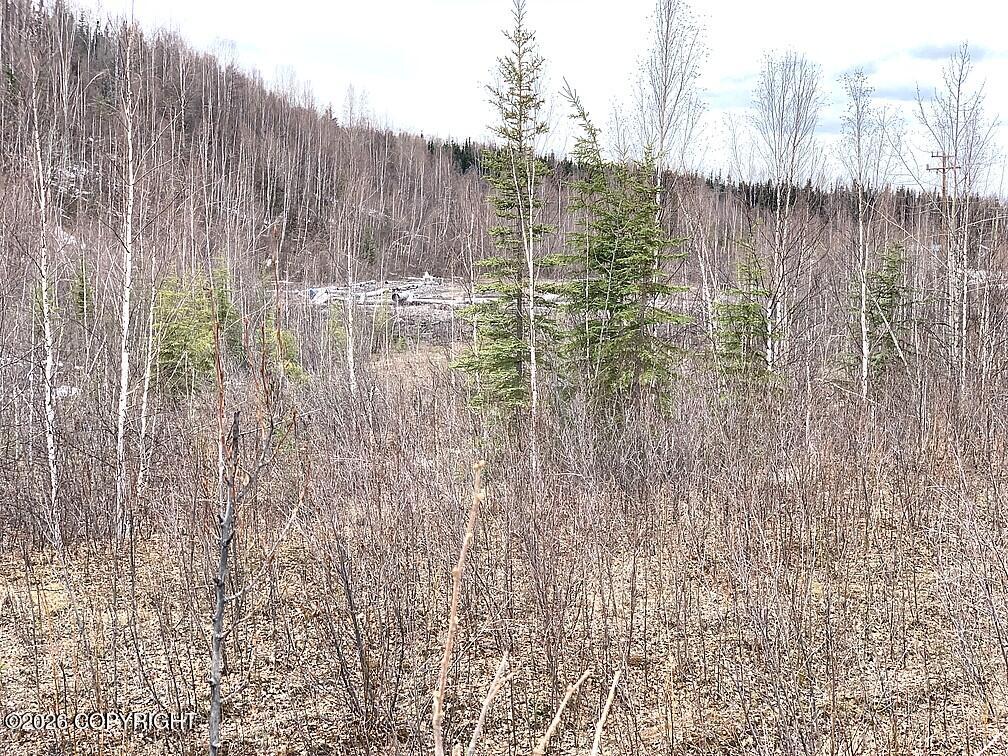 1731 N Old Steese Highway Property Photo 31