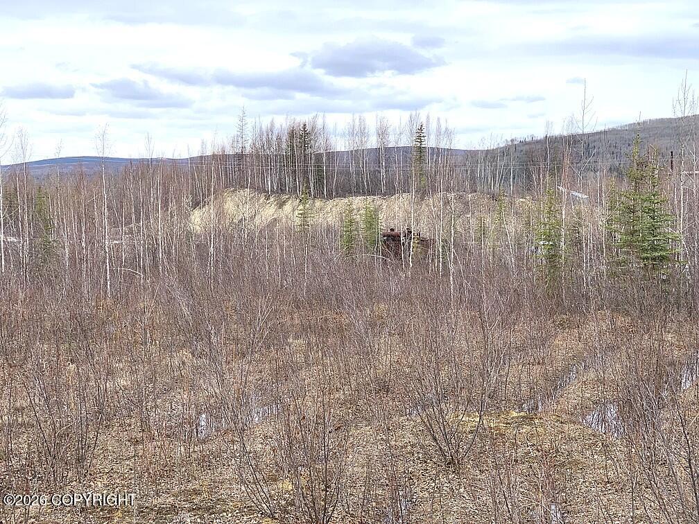 1731 N Old Steese Highway Property Photo 32