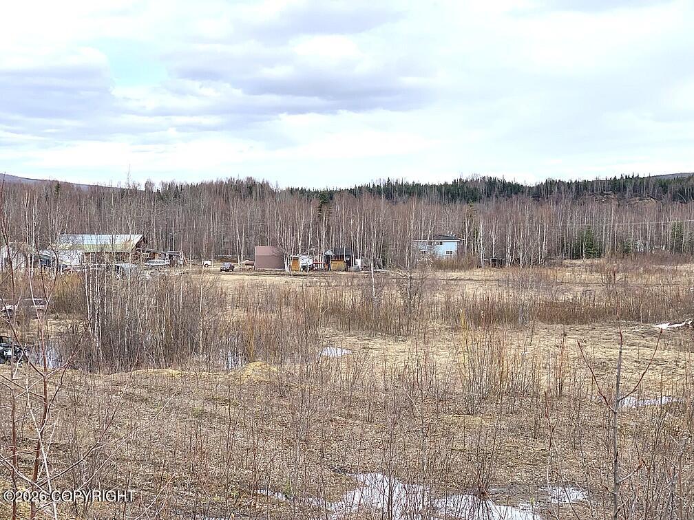 1731 N Old Steese Highway Property Photo 35
