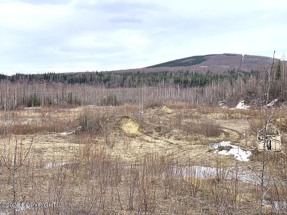 1731 N Old Steese Highway Property Photo 36