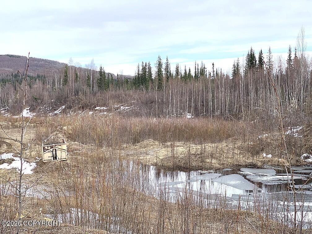 1731 N Old Steese Highway Property Photo 37