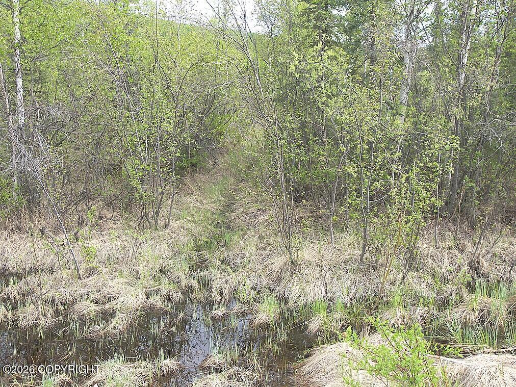 1731 N Old Steese Highway Property Photo 39