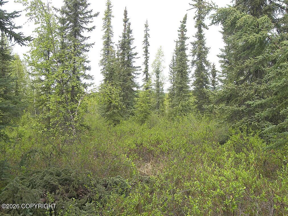 1731 N Old Steese Highway Property Photo 40