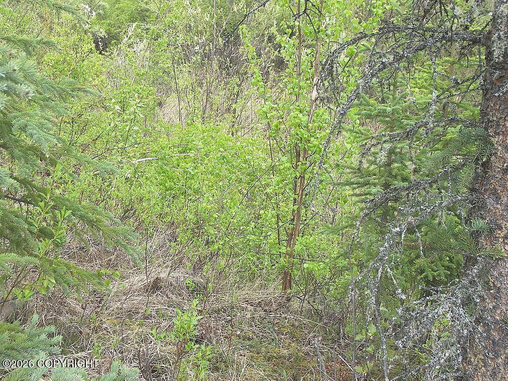 1731 N Old Steese Highway Property Photo 41