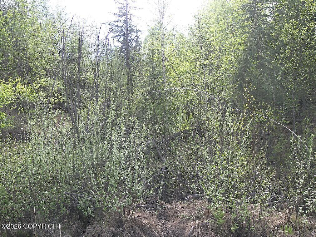 1731 N Old Steese Highway Property Photo 42