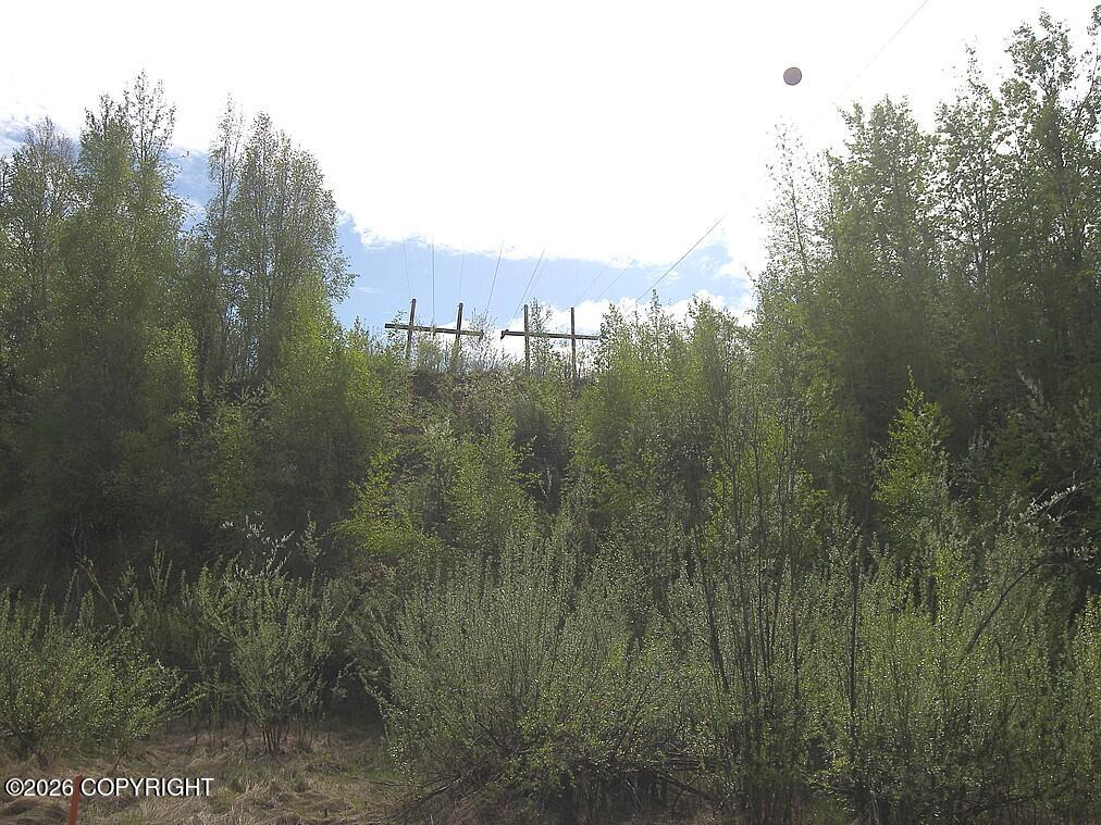 1731 N Old Steese Highway Property Photo 43