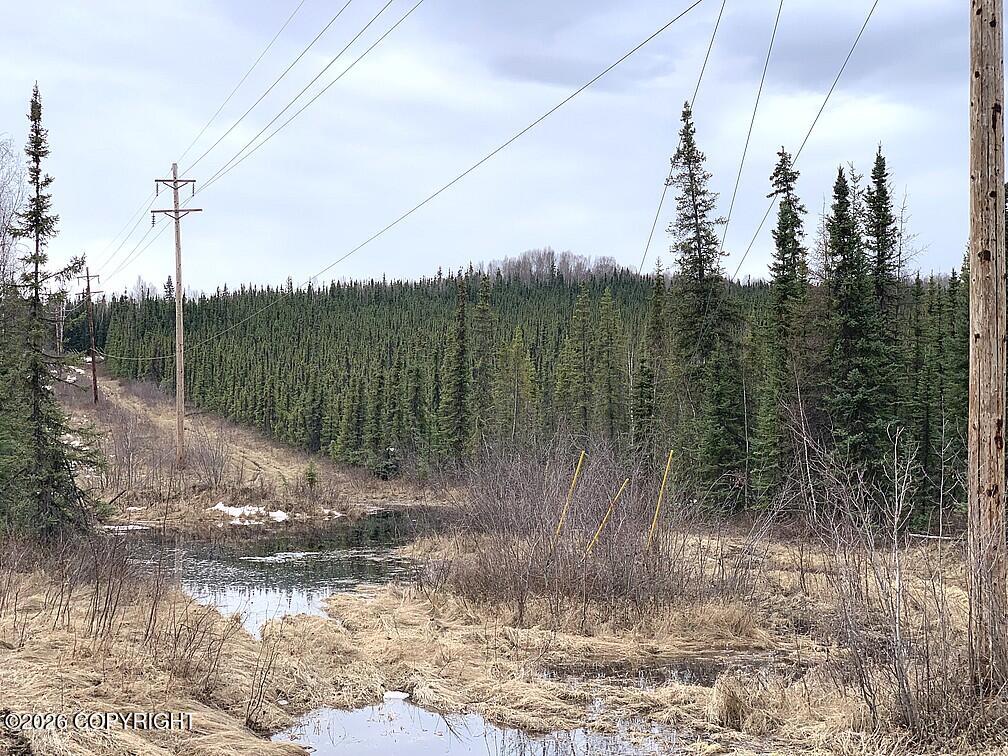 1731 N Old Steese Highway Property Photo 44