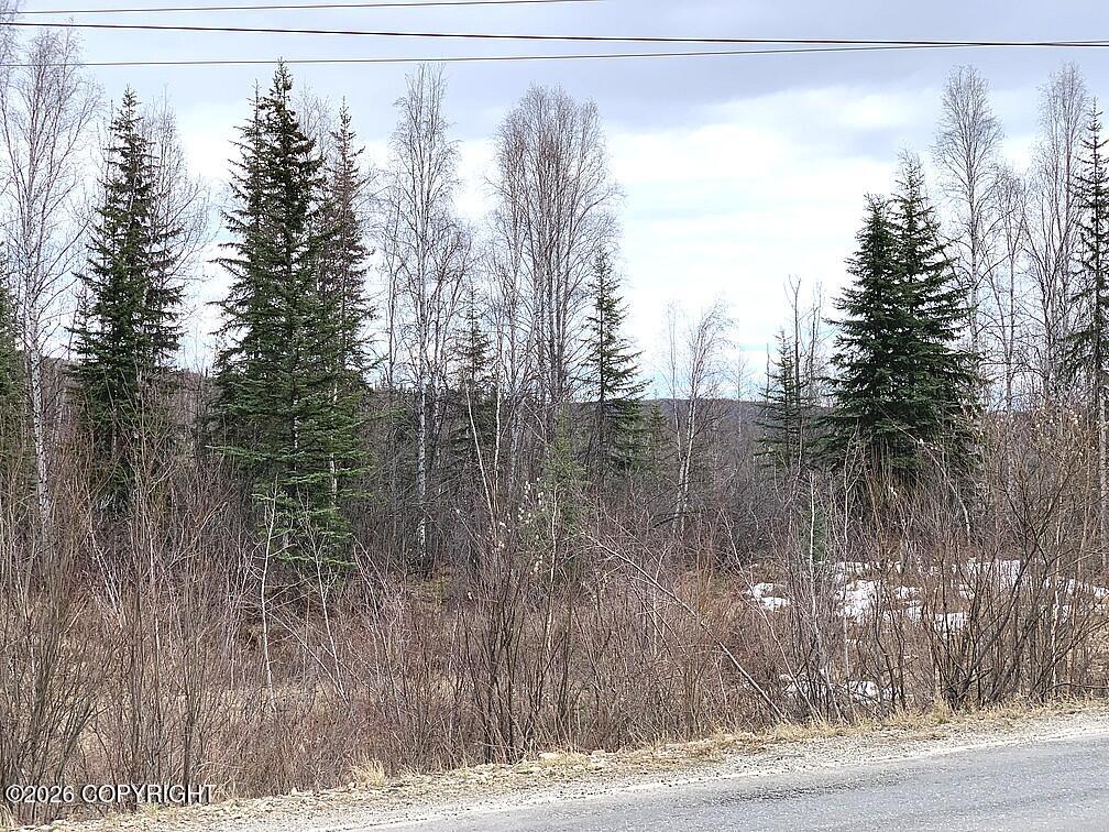 1731 N Old Steese Highway Property Photo 12