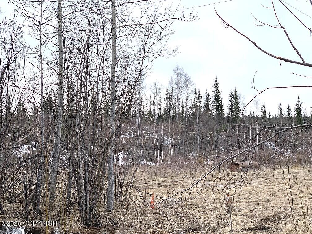 1731 N Old Steese Highway Property Photo 16
