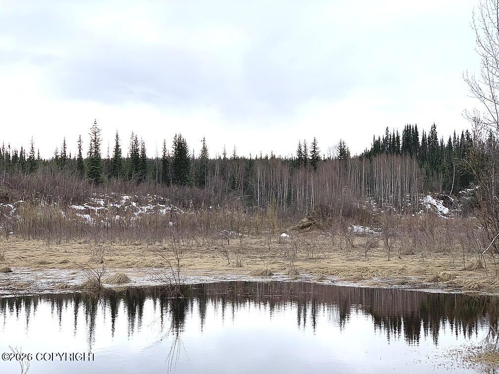 1731 N Old Steese Highway Property Photo 20