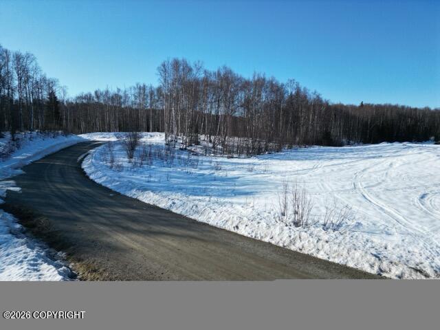 10832 N Pilot Drive Property Photo 11