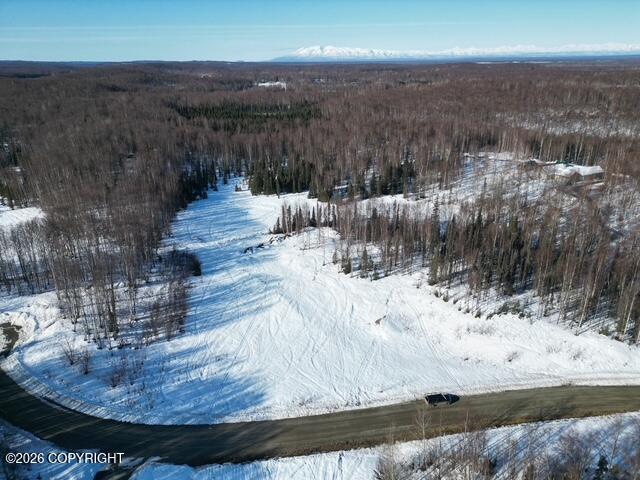 10832 N Pilot Drive Property Photo 13
