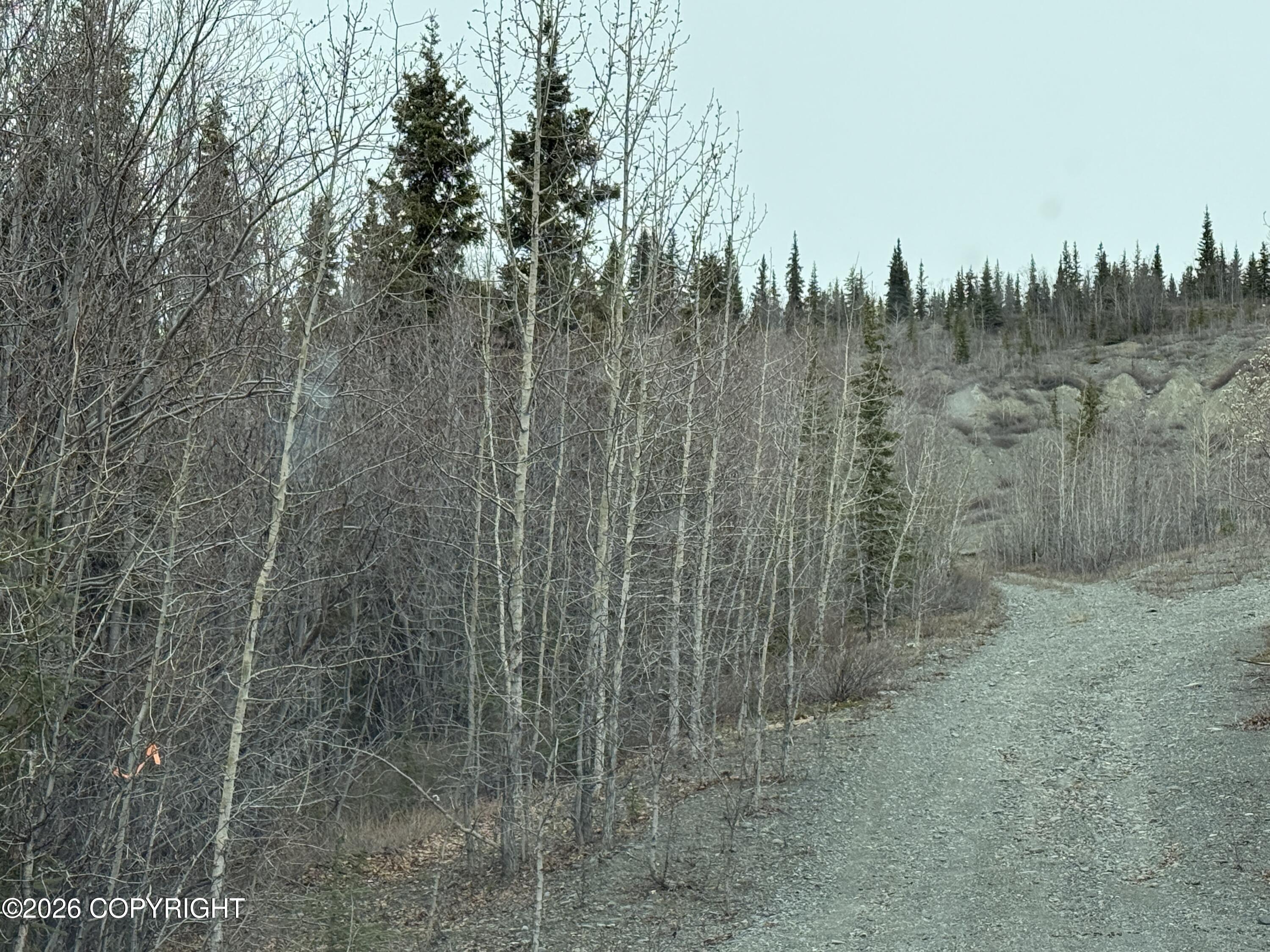 Mi 165 Glenn Highway Property Photo 3