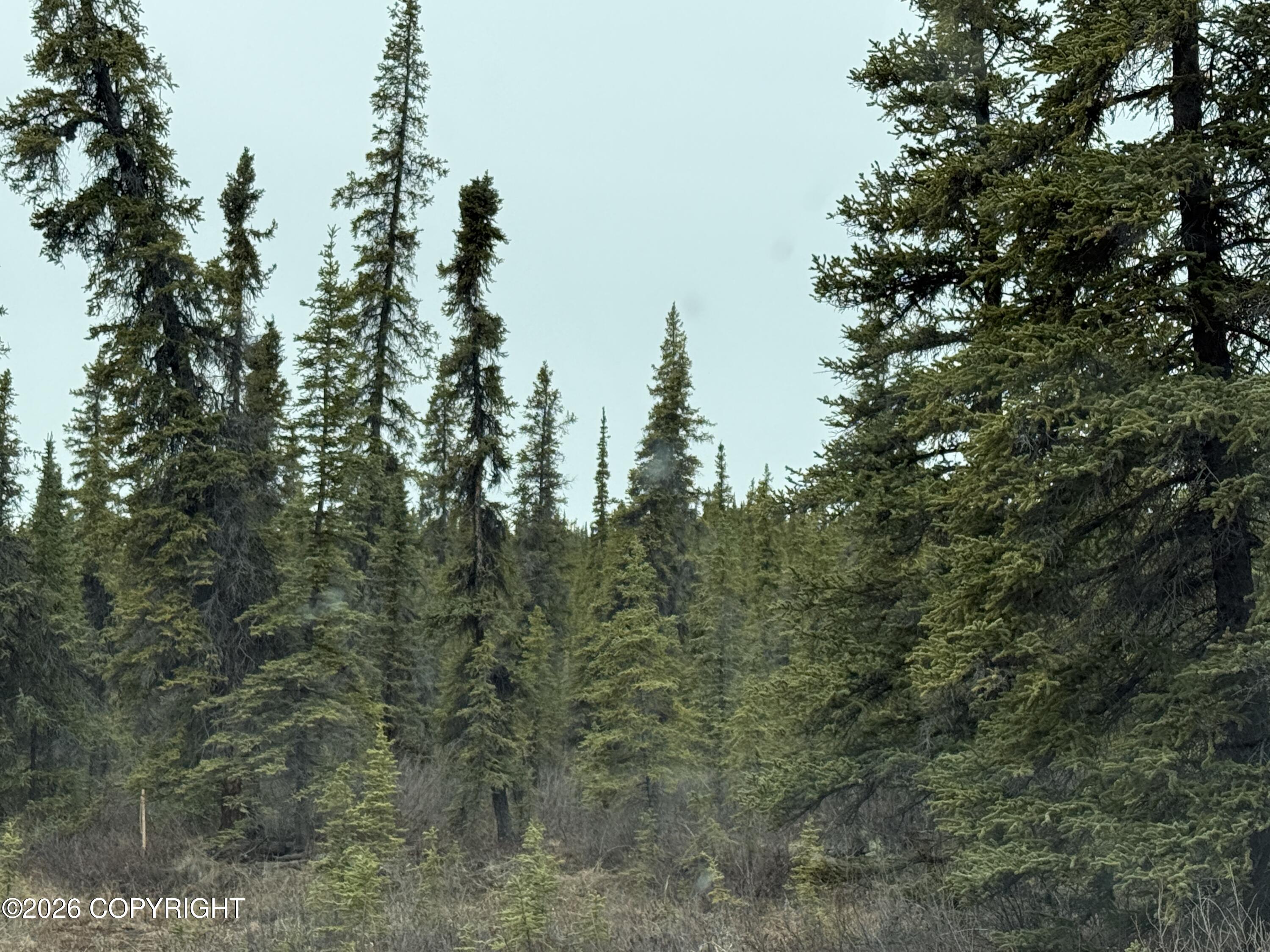 Mi 165 Glenn Highway Property Photo 5