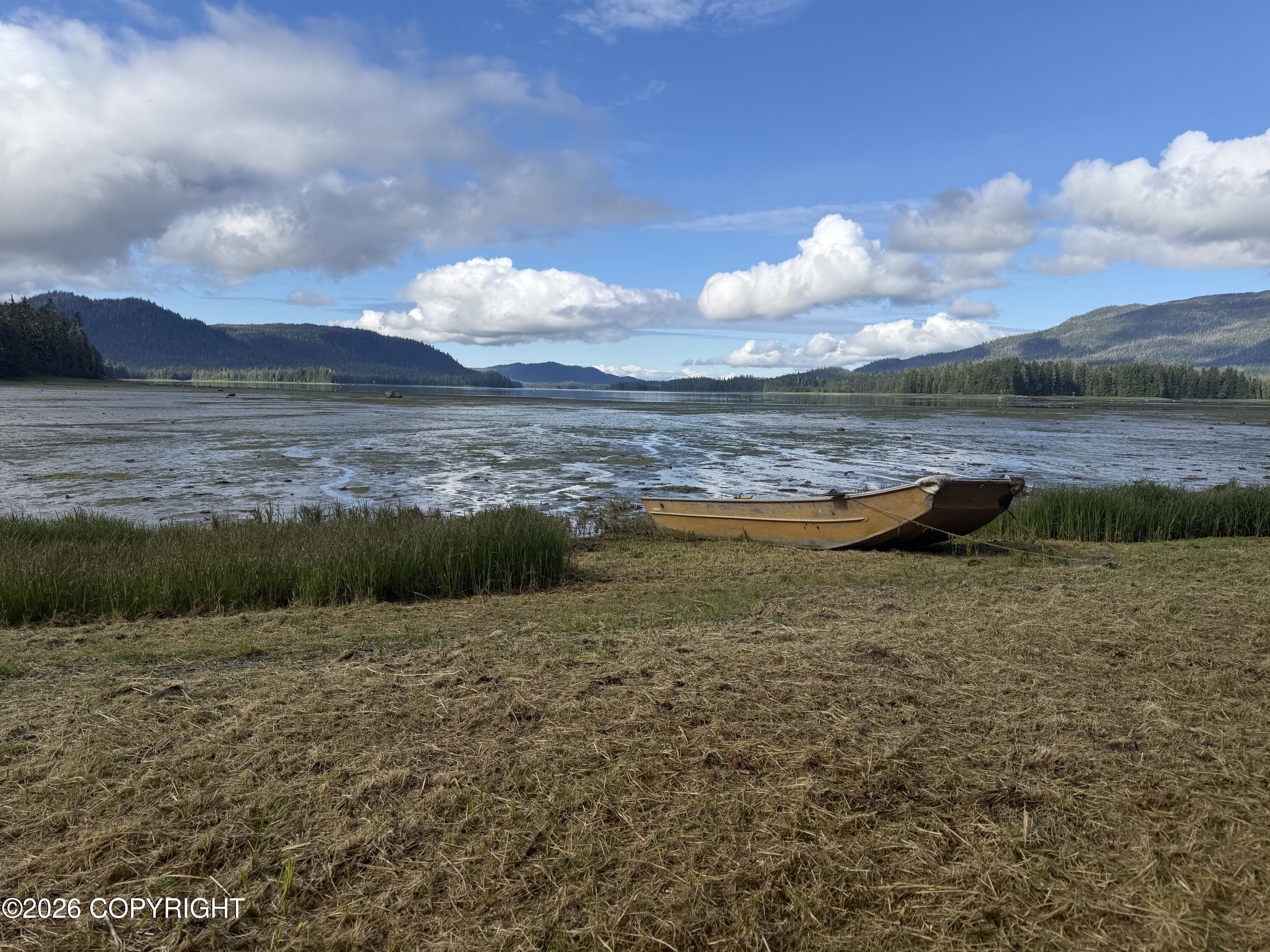 51 Twelve Mile Road Property Photo 11