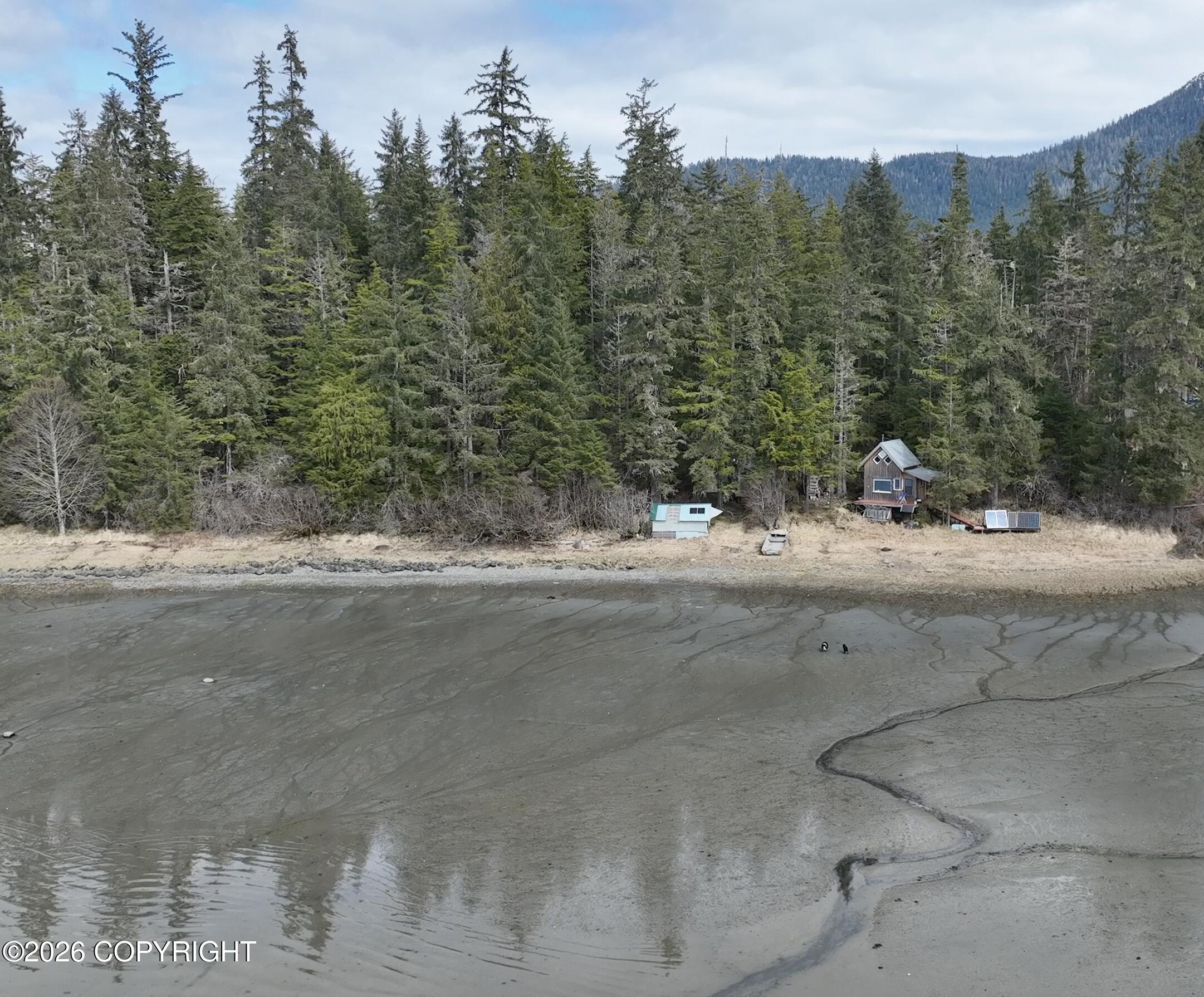 51 Twelve Mile Road Property Photo 20
