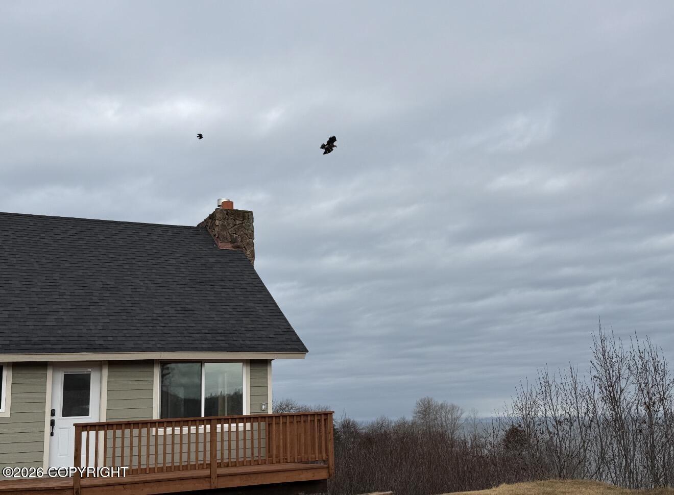 15519 Sterling Highway Property Photo 3