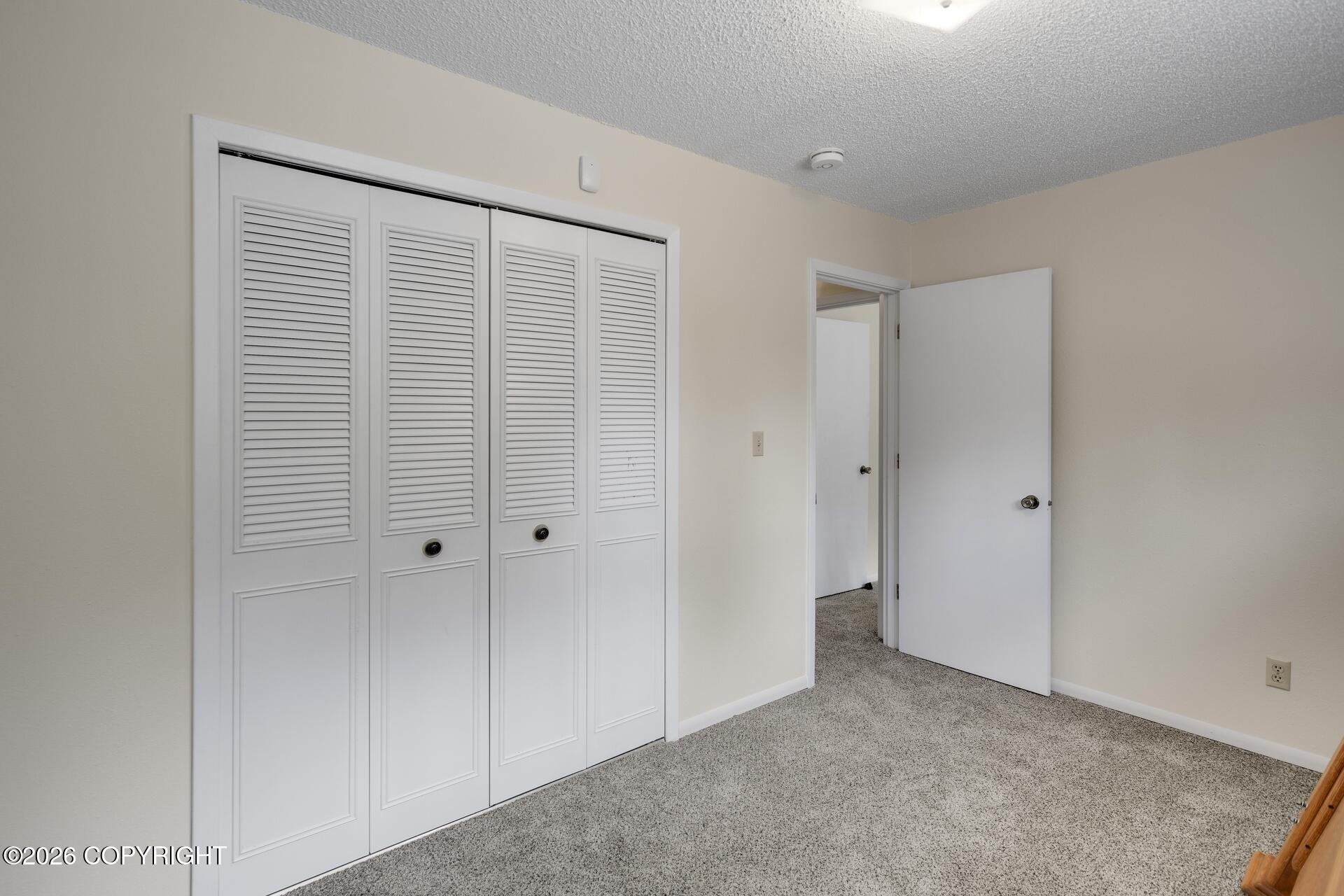 2301 Chandalar Drive Property Photo 68