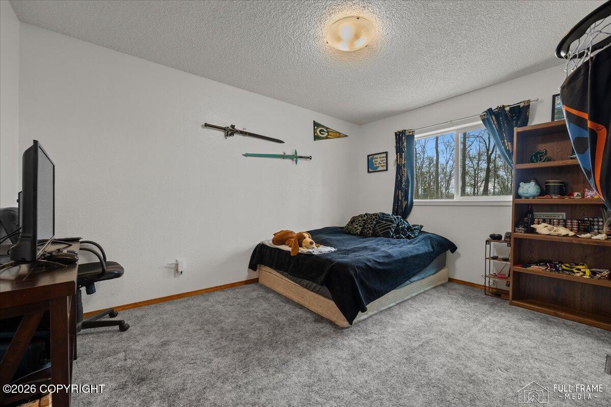 10200 E Palmer-wasilla Highway Property Photo 19