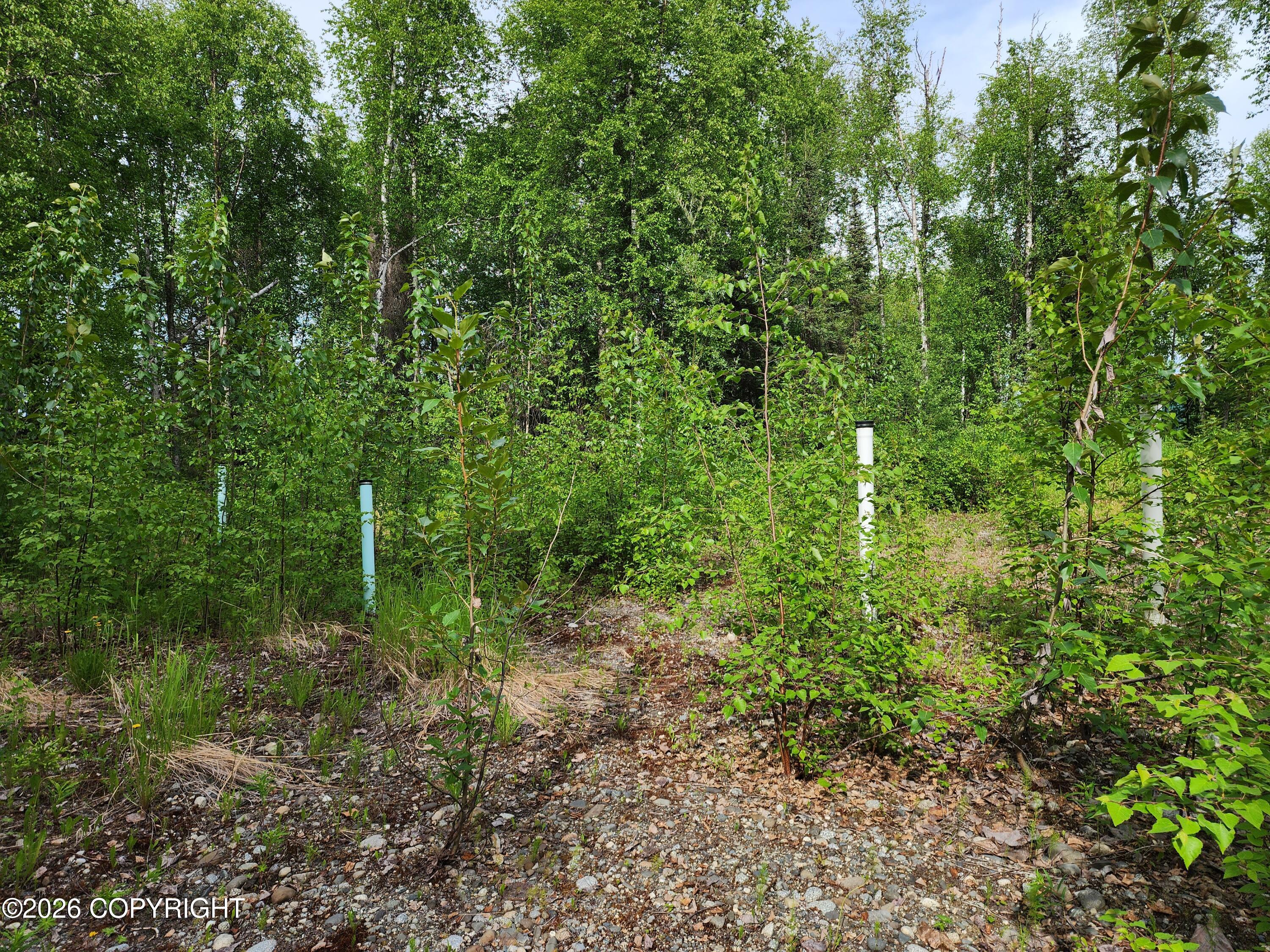 14034 N Lakeshore Drive Property Photo 6