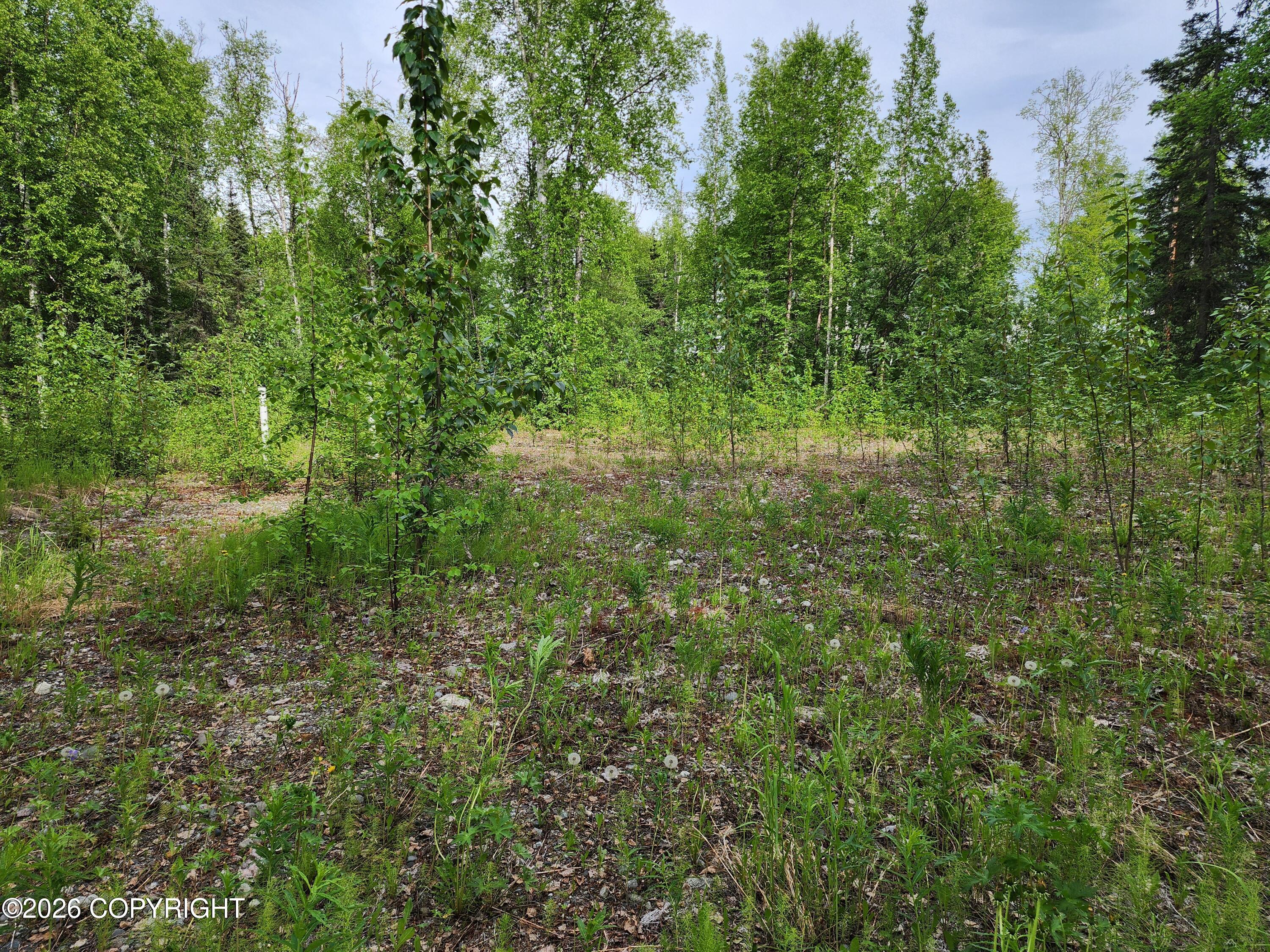 14034 N Lakeshore Drive Property Photo 10