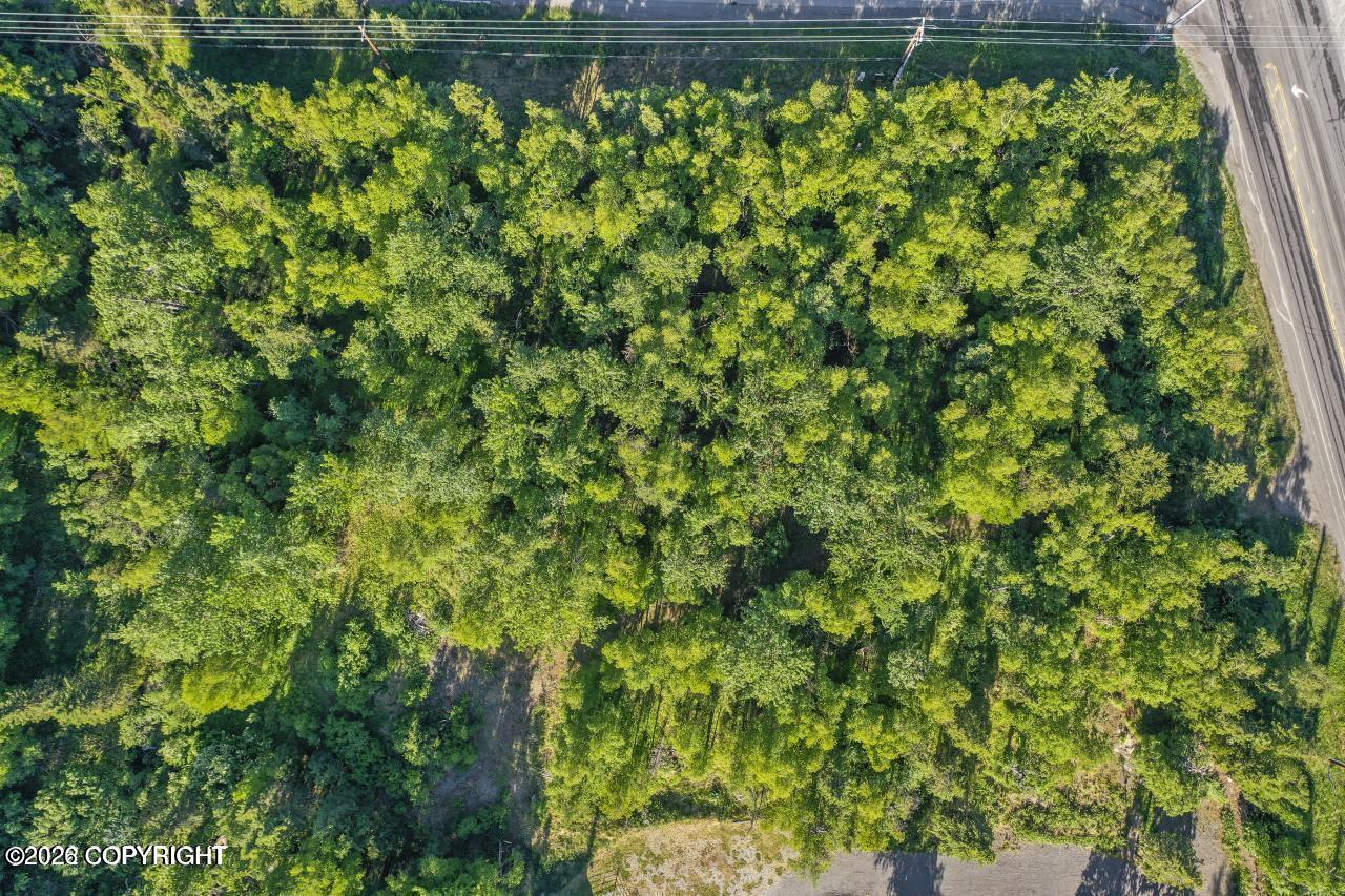 5910 Rabbit Creek Road Property Photo 11