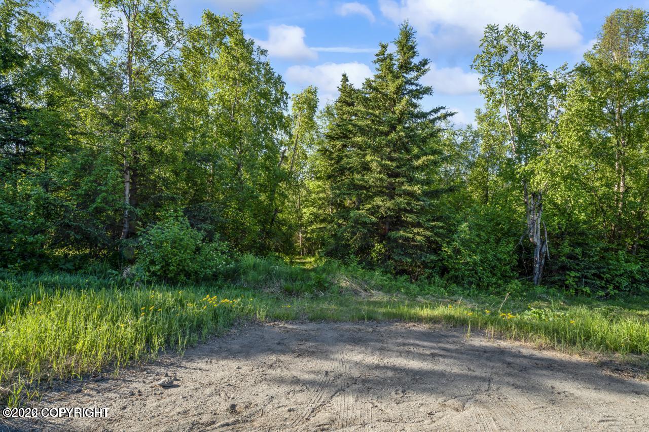 5910 Rabbit Creek Road Property Photo 16