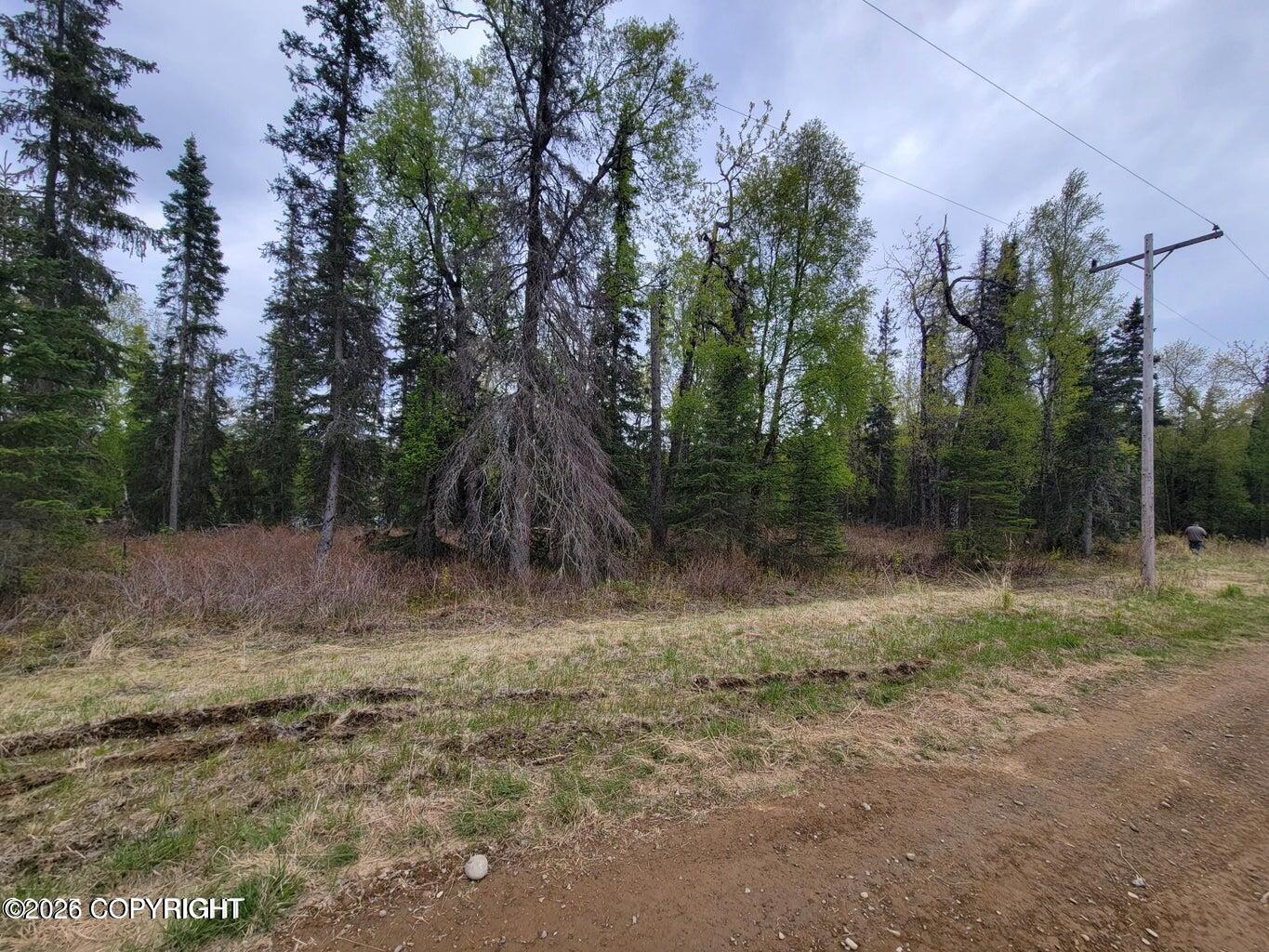48330 Miller Loop Road Property Photo 6
