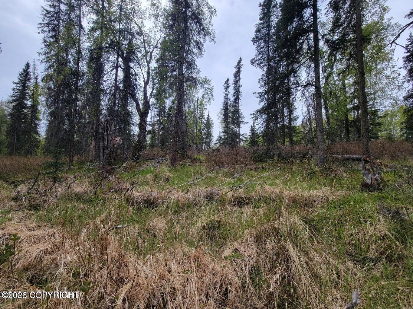 48330 Miller Loop Road Property Photo 8