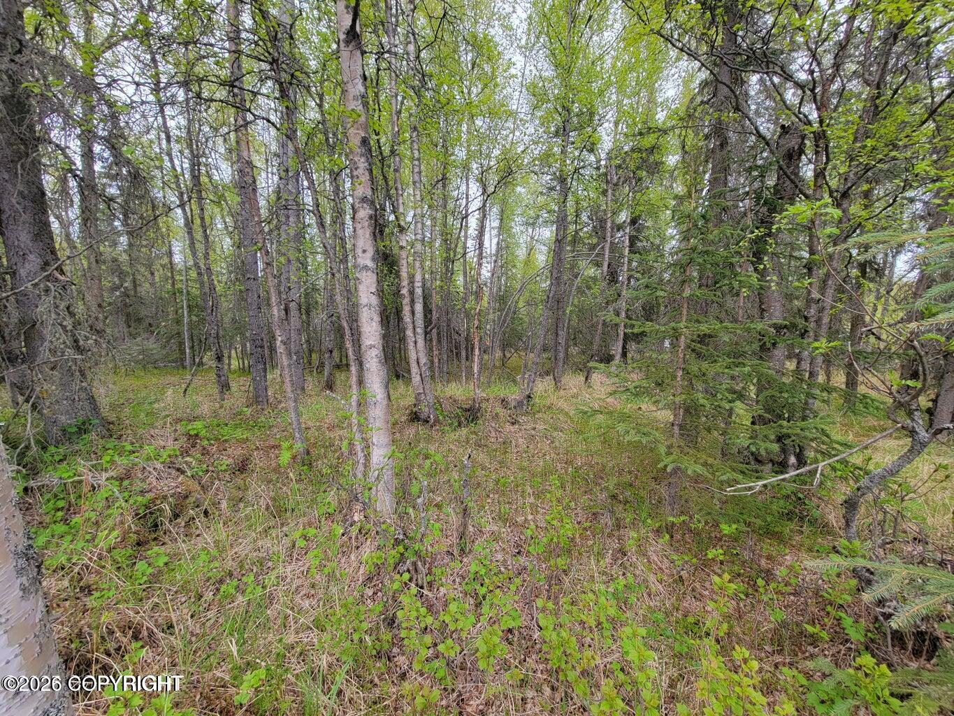 48330 Miller Loop Road Property Photo 17