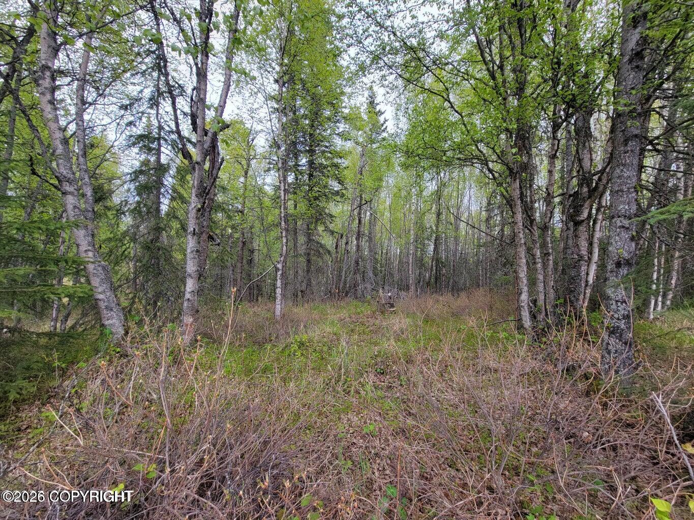 48330 Miller Loop Road Property Photo 18