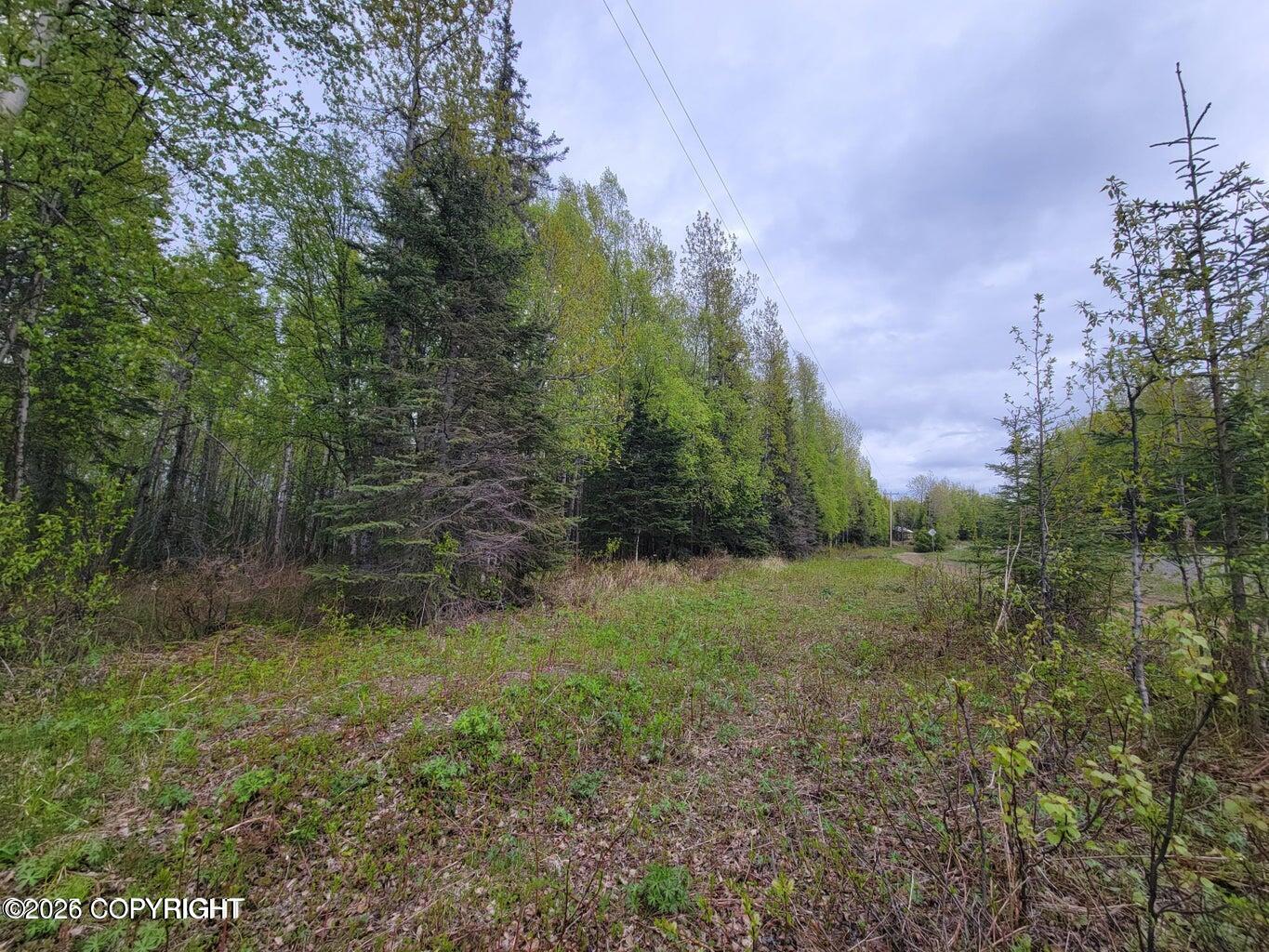 48330 Miller Loop Road Property Photo 19