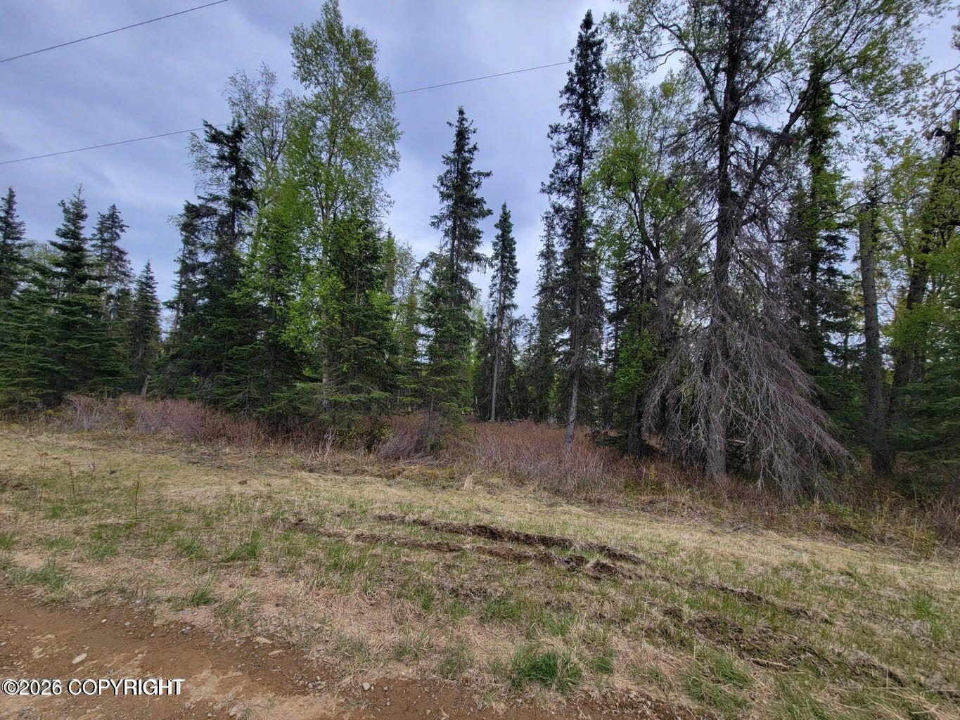 48330 Miller Loop Road Property Photo 21