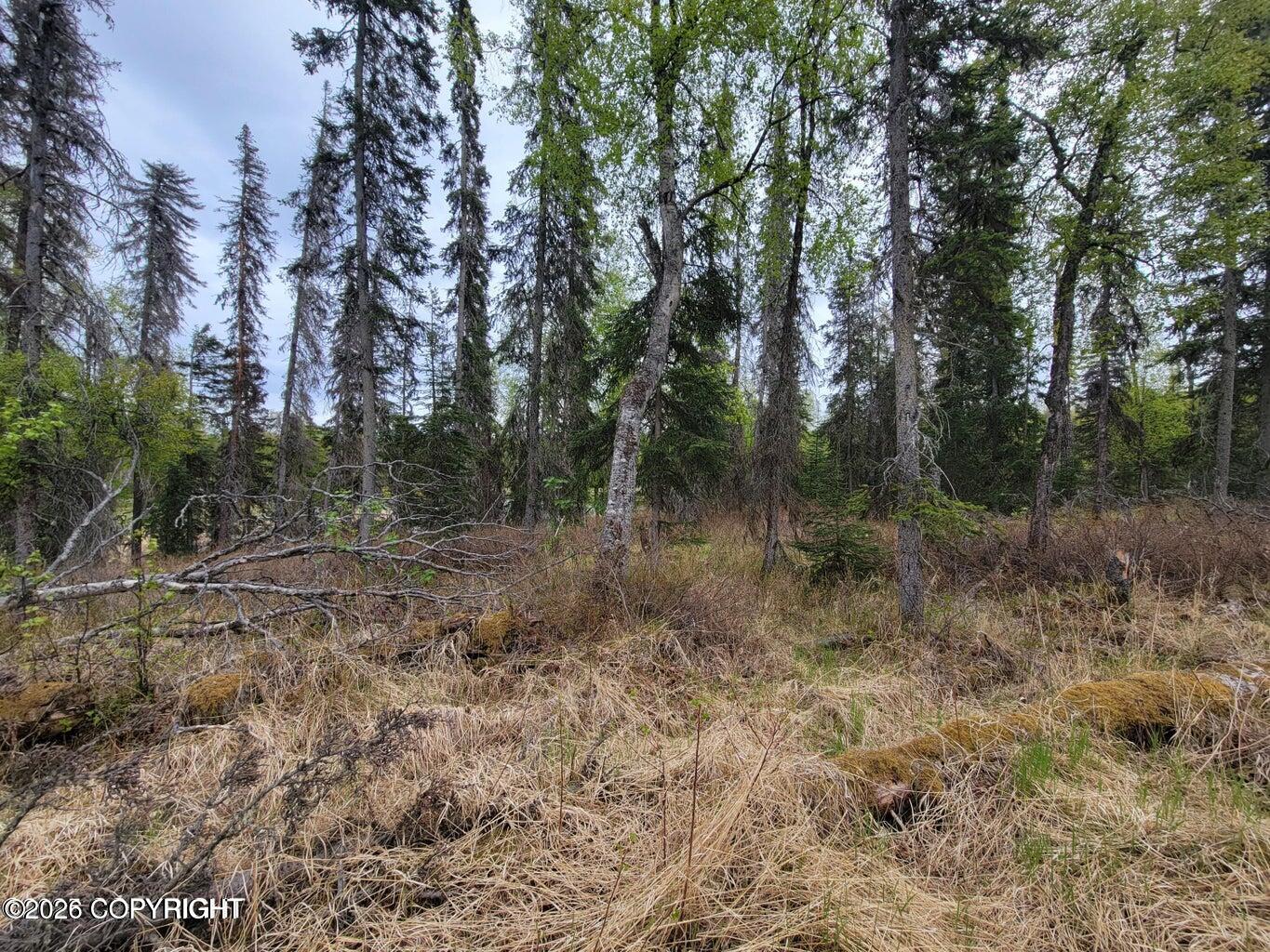 48330 Miller Loop Road Property Photo 22