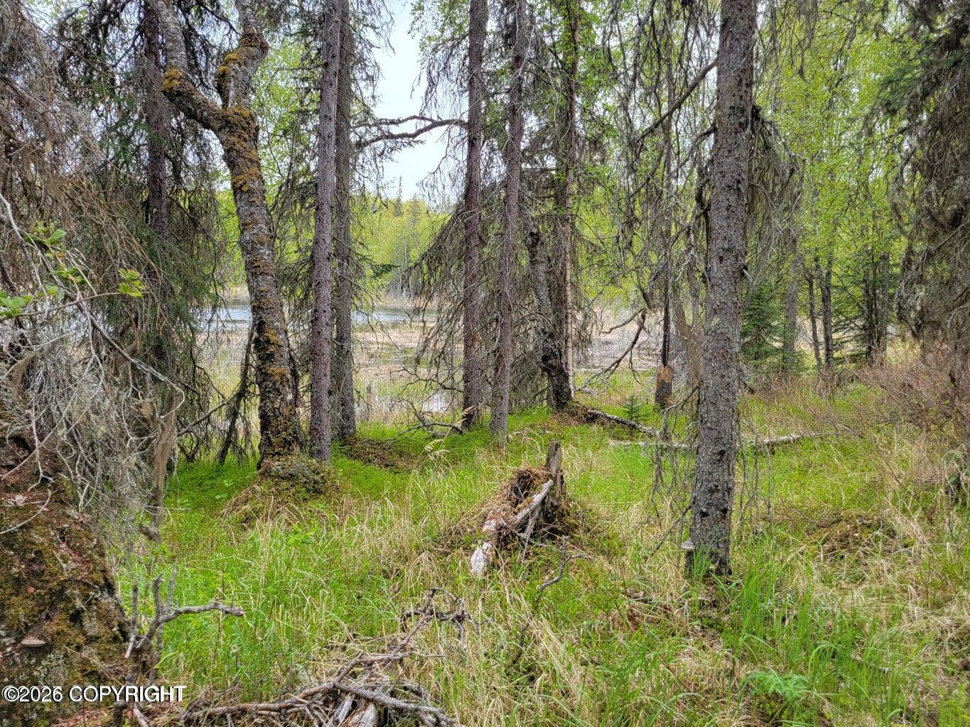 48330 Miller Loop Road Property Photo 23