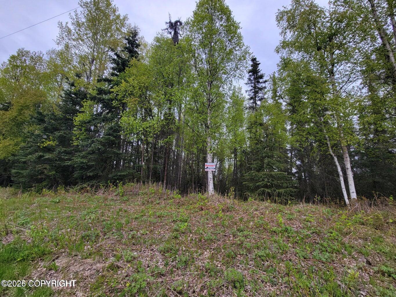 48330 Miller Loop Road Property Photo 28