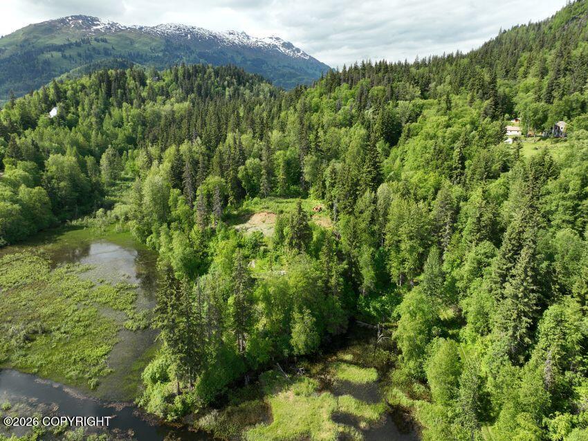 Lot 23 26 Mi Hns Highway Property Photo 10
