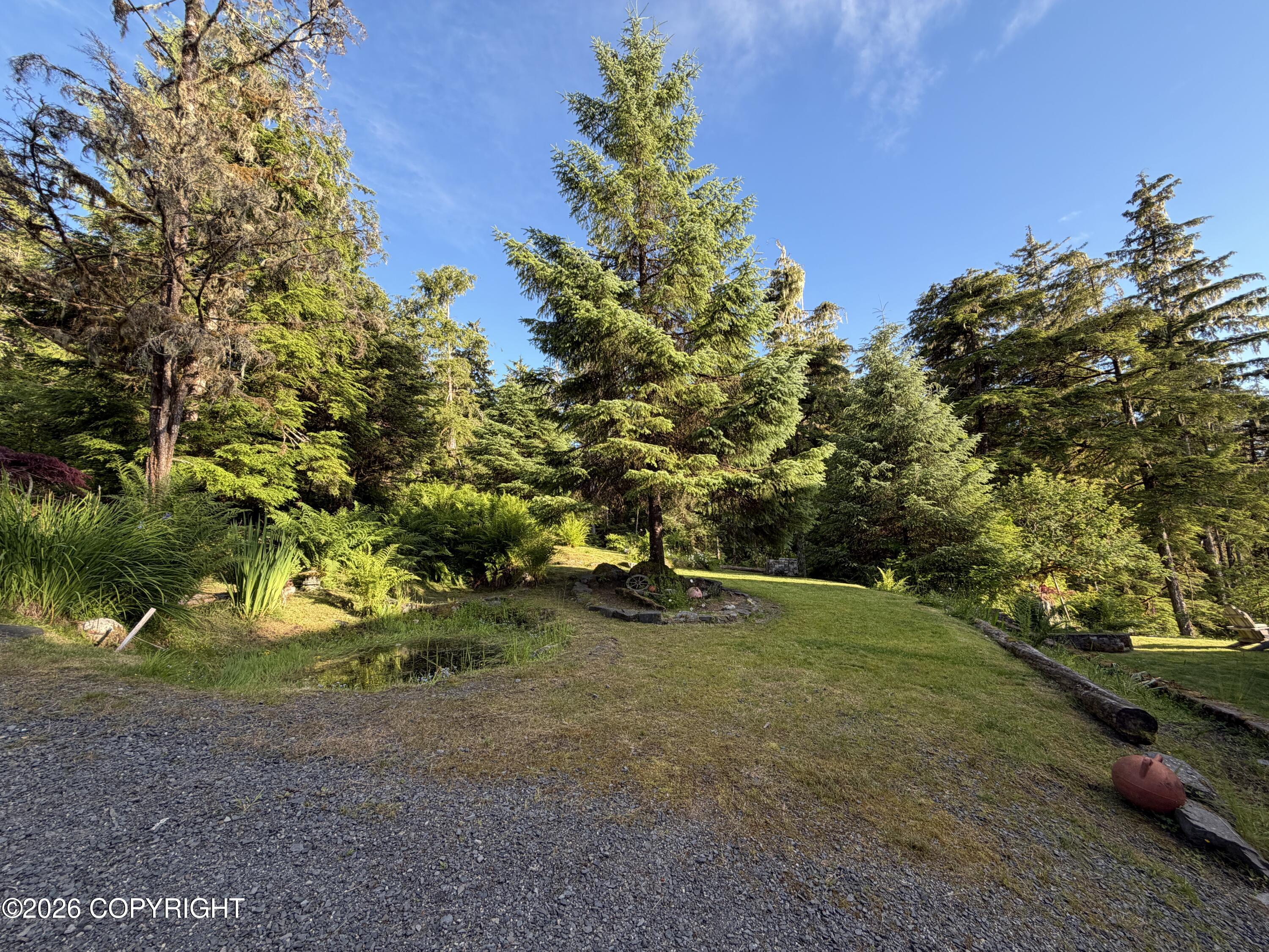 894 Mitkof Highway Property Photo 7