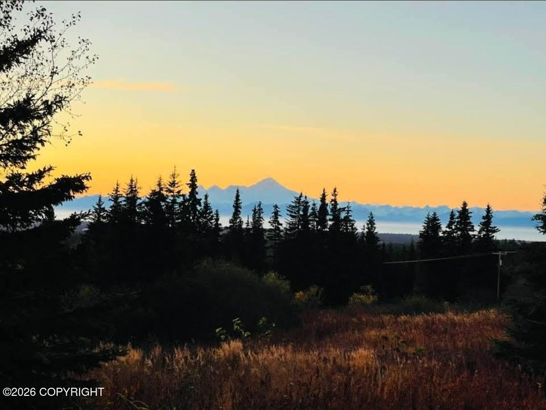 64427 Trail Road Property Photo 3