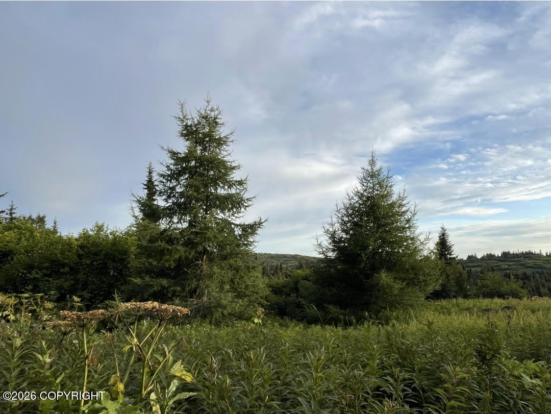 64427 Trail Road Property Photo 11