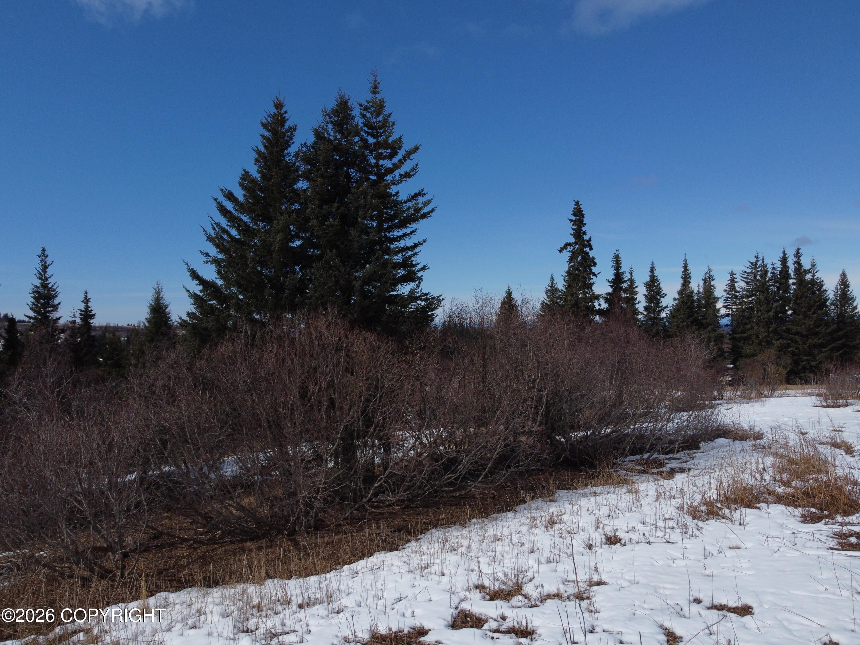 64427 Trail Road Property Photo 29