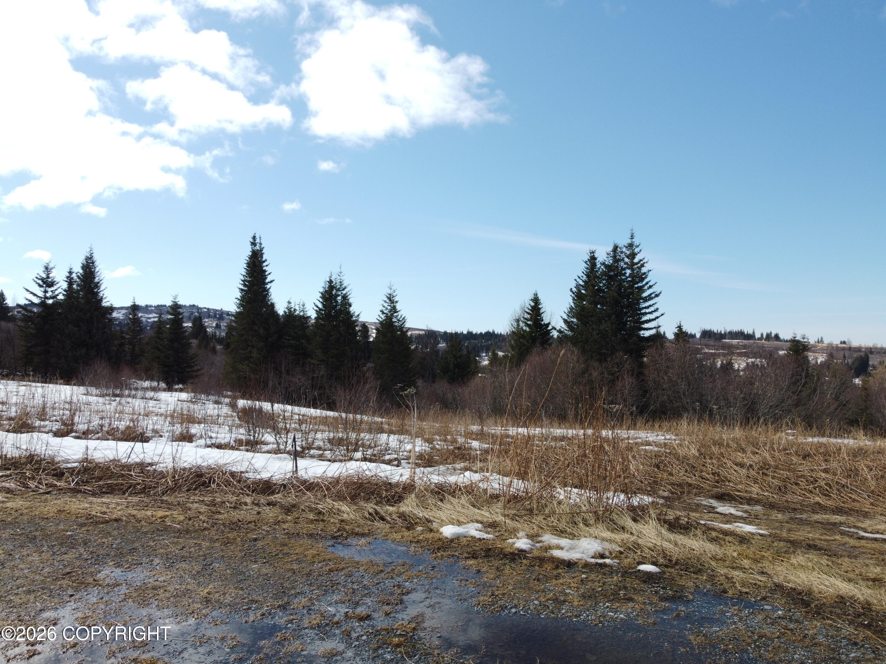 64427 Trail Road Property Photo 31