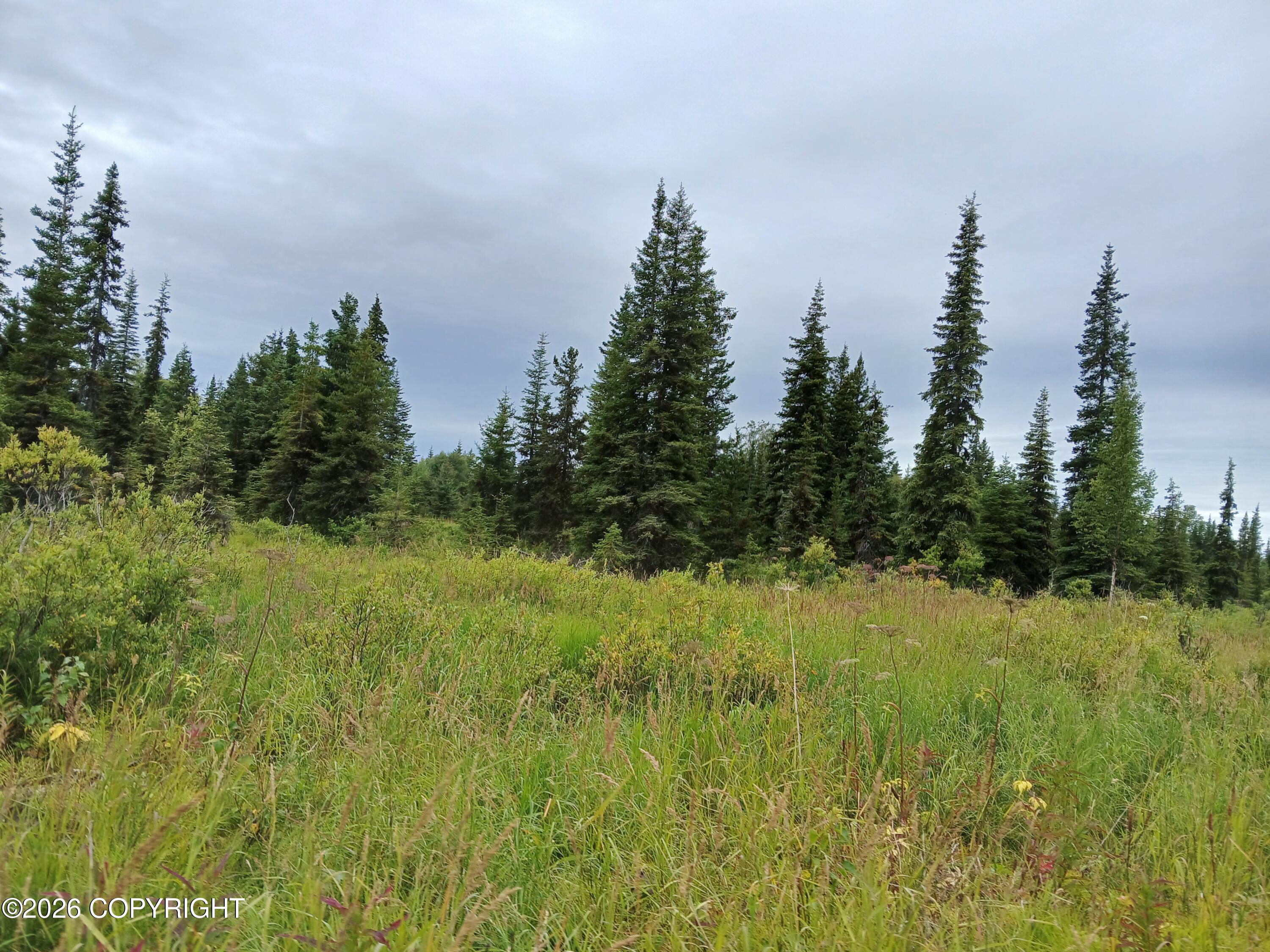 L17 Marik Street Property Photo 2