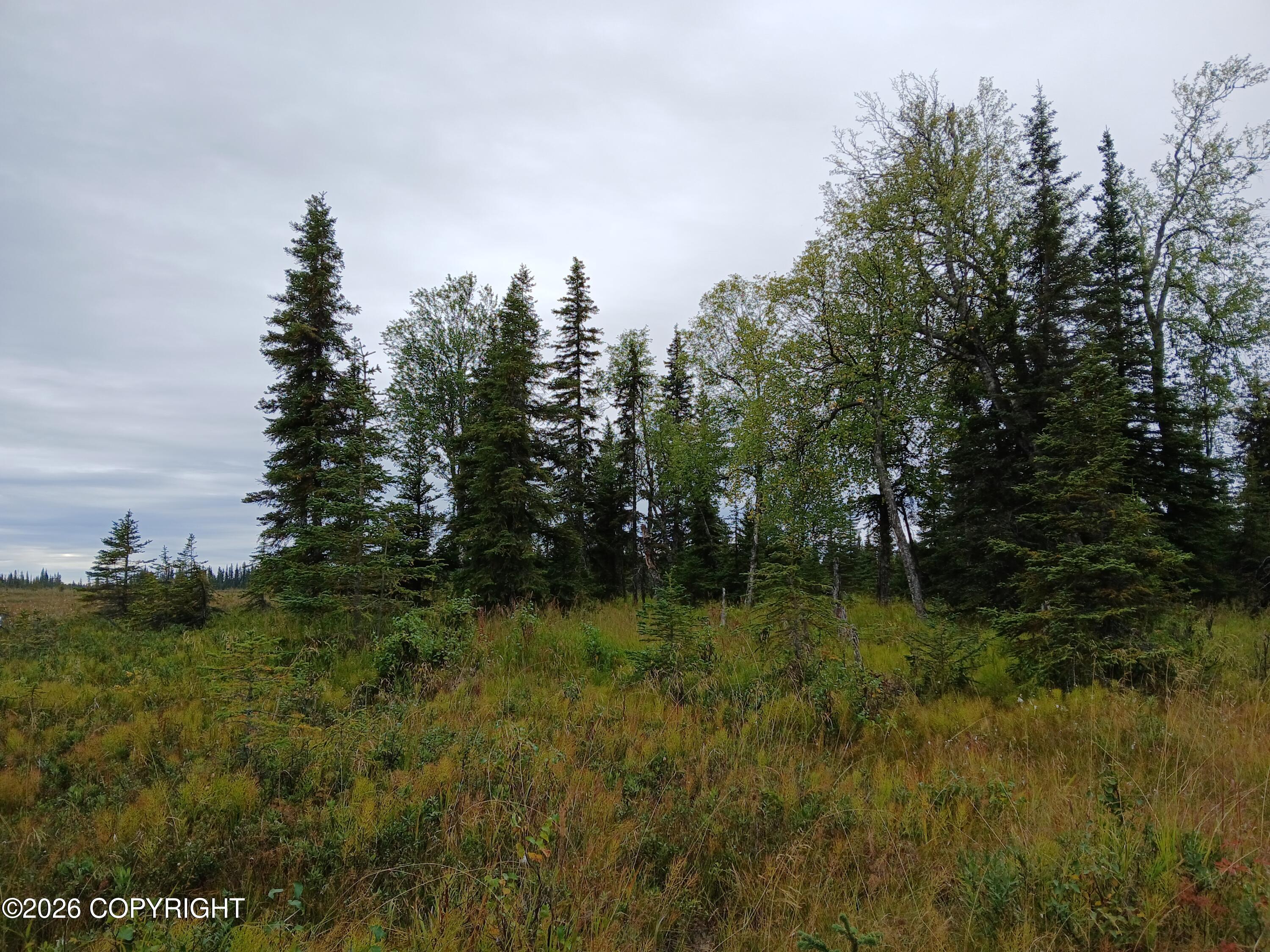L17 Marik Street Property Photo 10