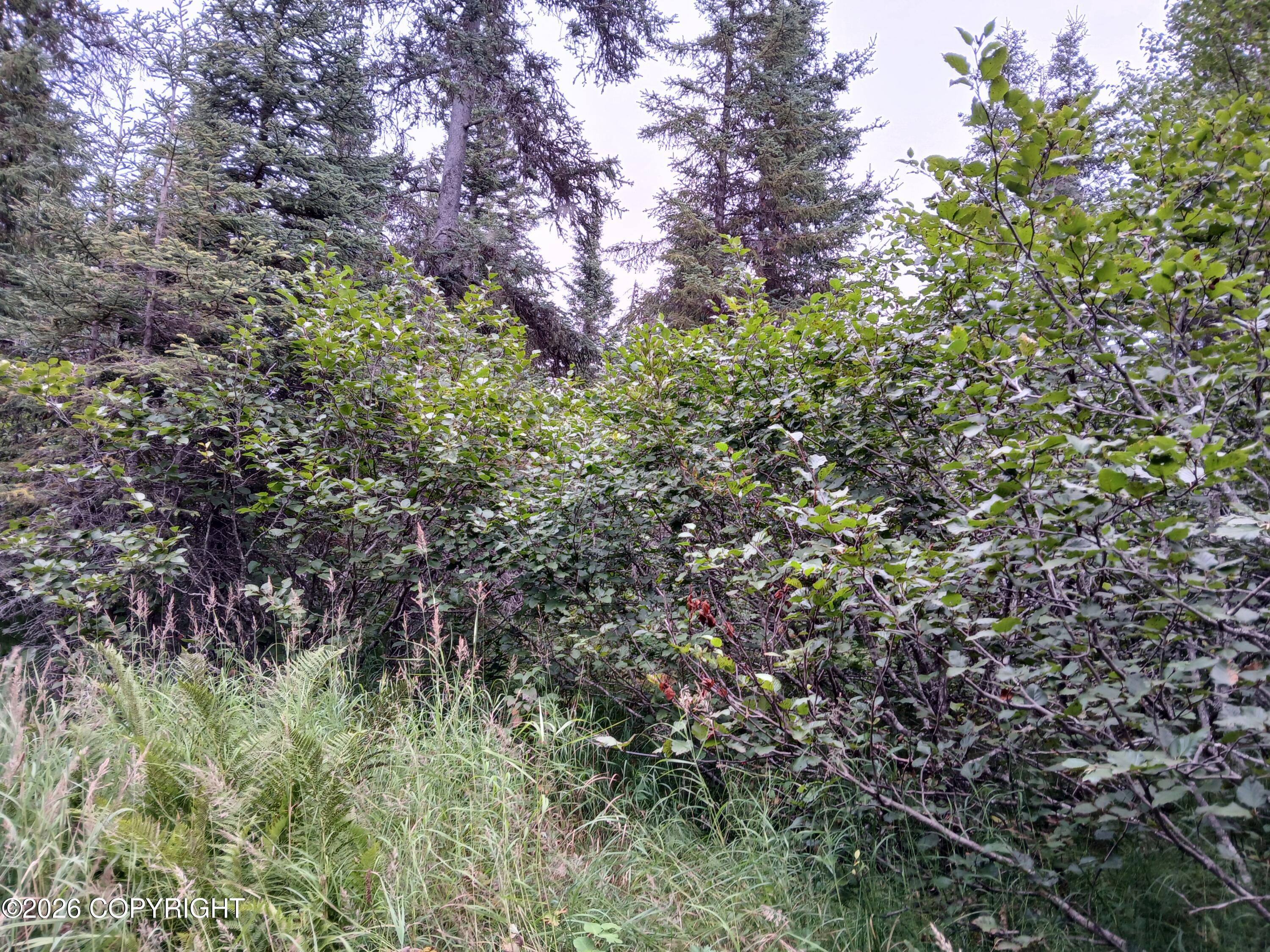 L17 Marik Street Property Photo 12