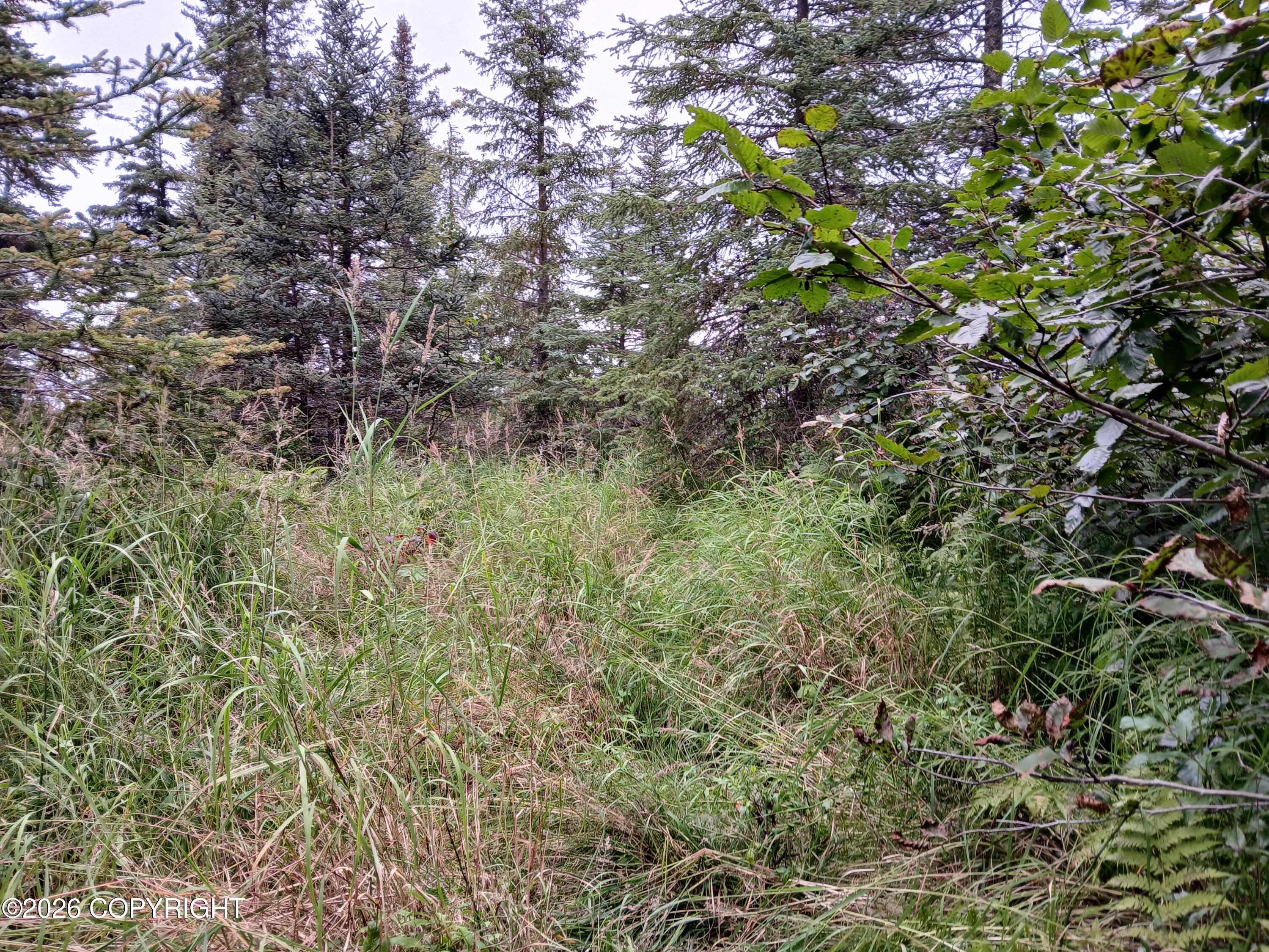 L17 Marik Street Property Photo 13