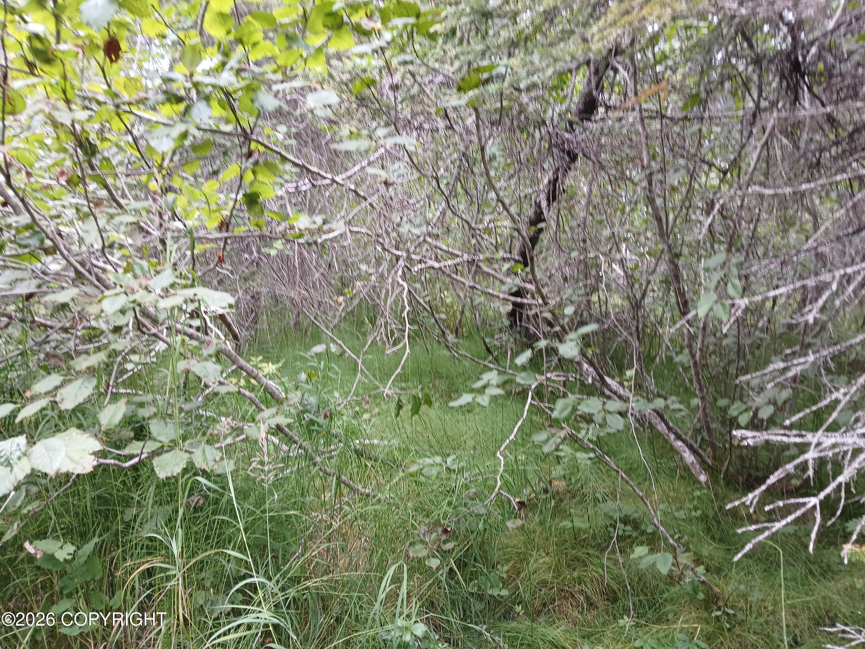 L17 Marik Street Property Photo 15